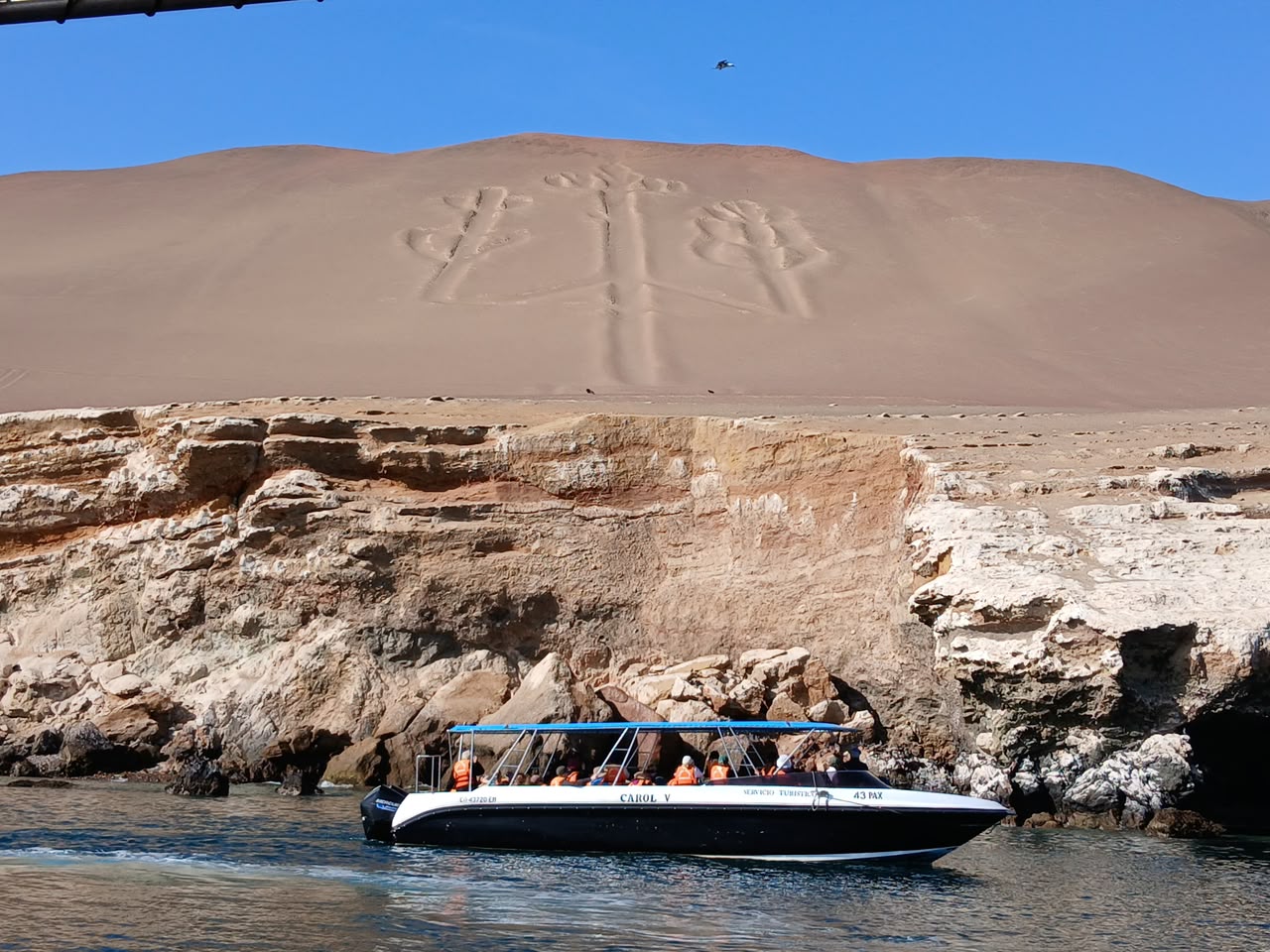 Tour Paracas - Full Day